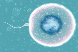 试管婴儿在上海治疗的费用大约是多少钱